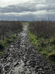 And more mud